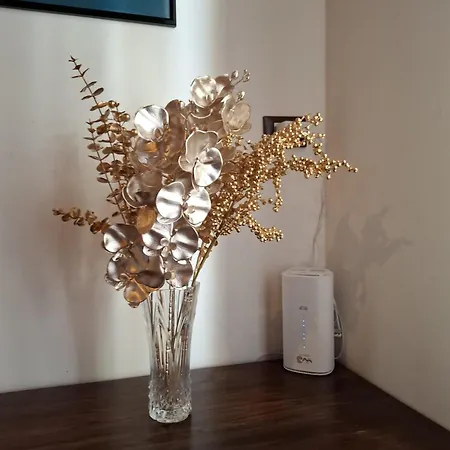 公寓 Casa Statuto - Tra Le Mura 阿斯蒂